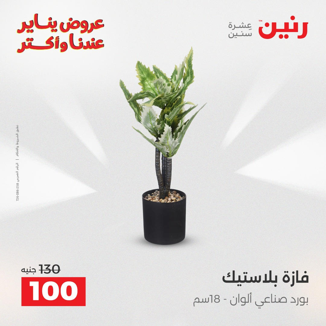 عروض رنين من 6 يناير حتى 7 يناير 2026 صفحة 42 - raneen offers from 6 January to 7 January 2026 page 42